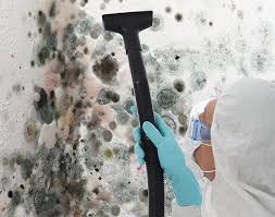 Mold Documentation for Insurance Claims in Inglis, FL